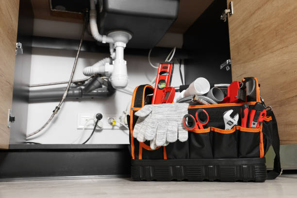 Best Local Plumber Services  in Fisher, IL