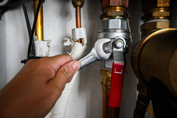 Best Emergency Plumbing Repair  in Fisher, IL